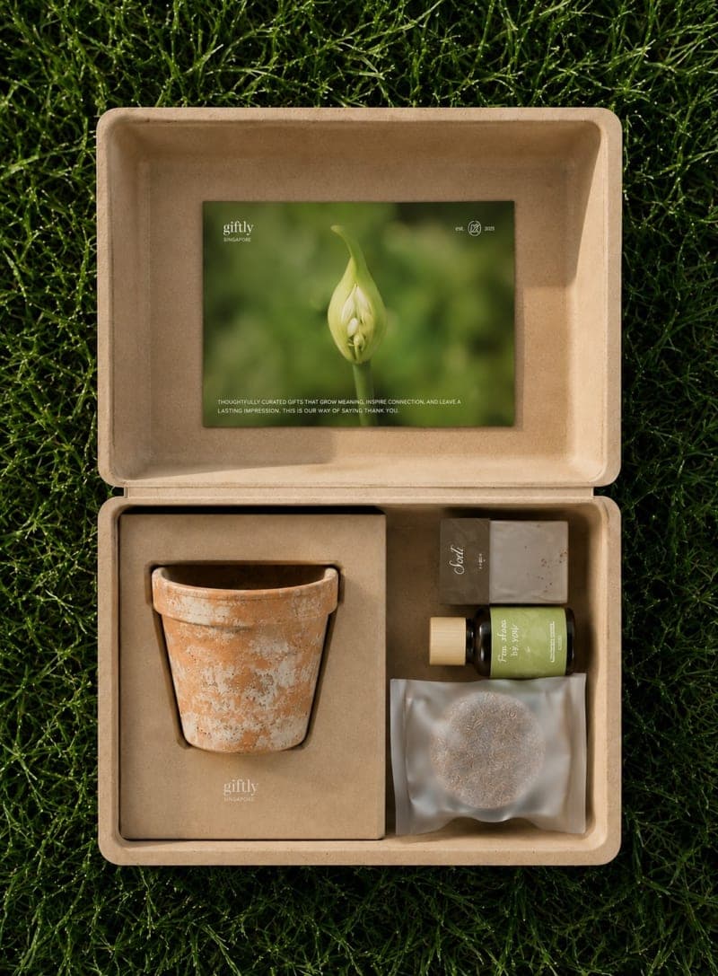 Giftly curated planter and wellness gift box